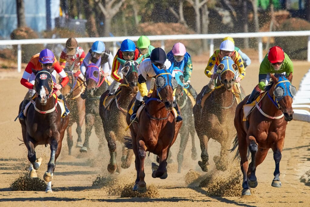 Thrills of Horse Betting Singapore